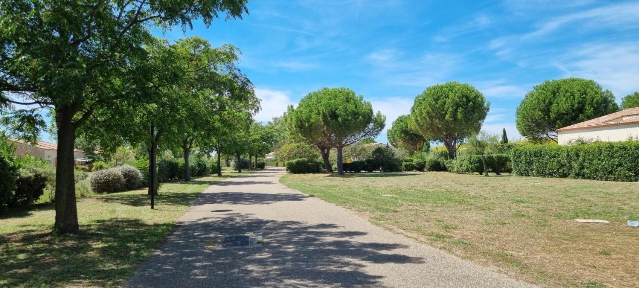 Vila Maison 45M2 Dans Grand Parc Arbore Gallargues-le-Montueux Exteriér fotografie